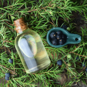 cajuput oil (copy)