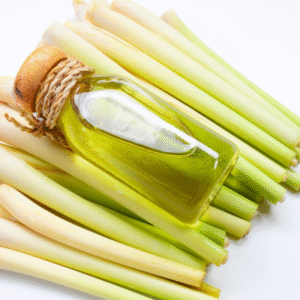 cajuput oil (copy)