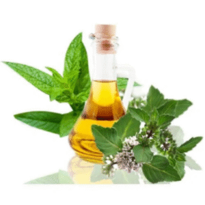cajuput oil (copy)