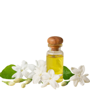 cajuput oil (copy)