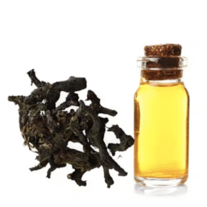 cajuput oil (copy)