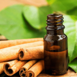 cajuput oil (copy)