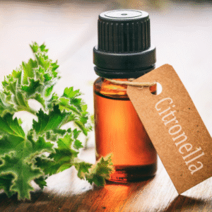 cajuput oil (copy)