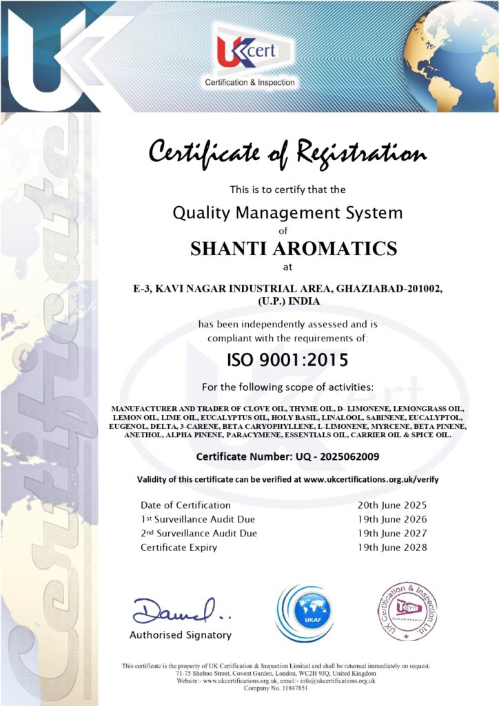 iso 9000 page 0001