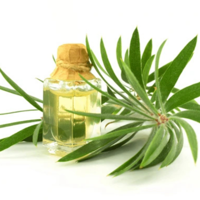 ajwain oil 20% (copy)